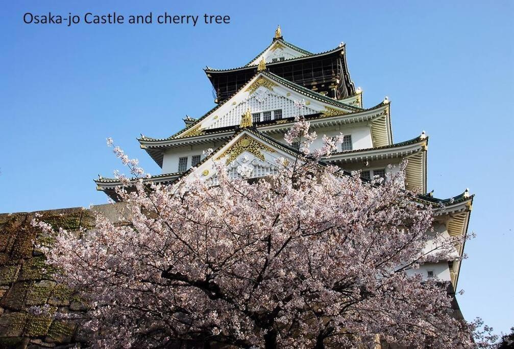 Banboo House アパート 大阪市